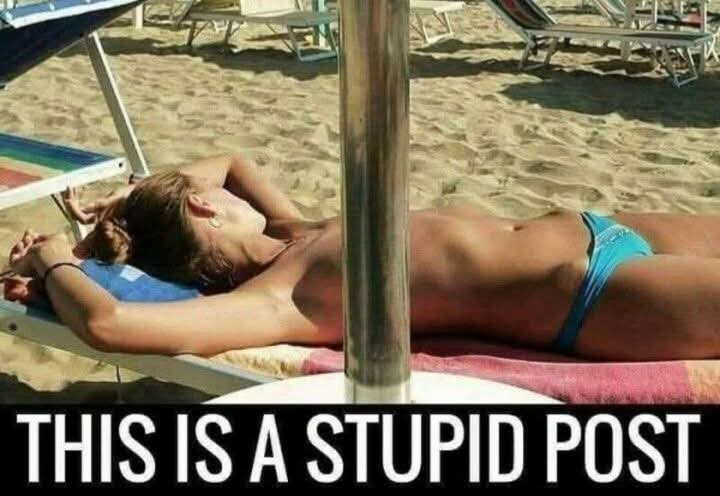 stupid - głupi, durny, idiotyczny