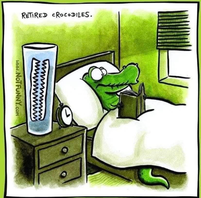 crocodile - krokodyl, krokodylej, skradać się