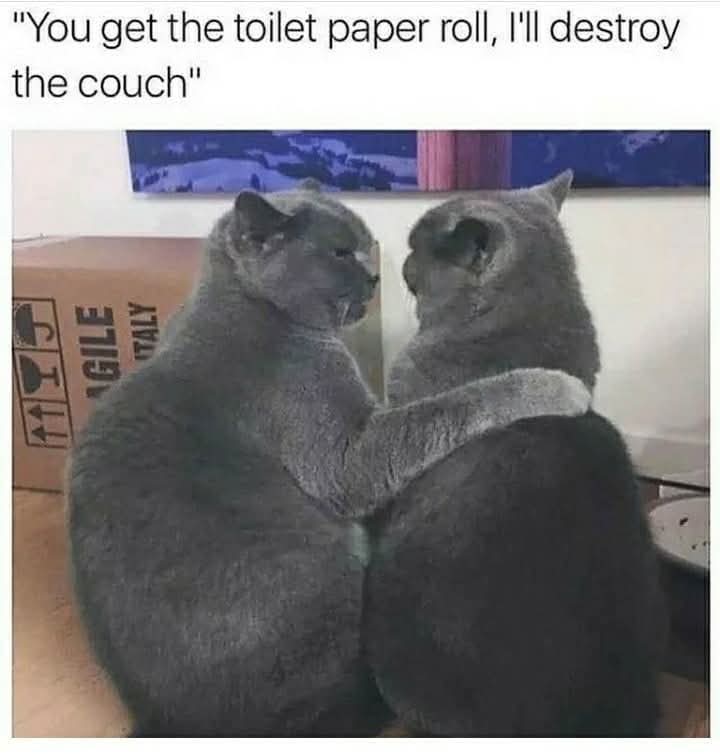 toilet - toaleta, kibel, toaletowa