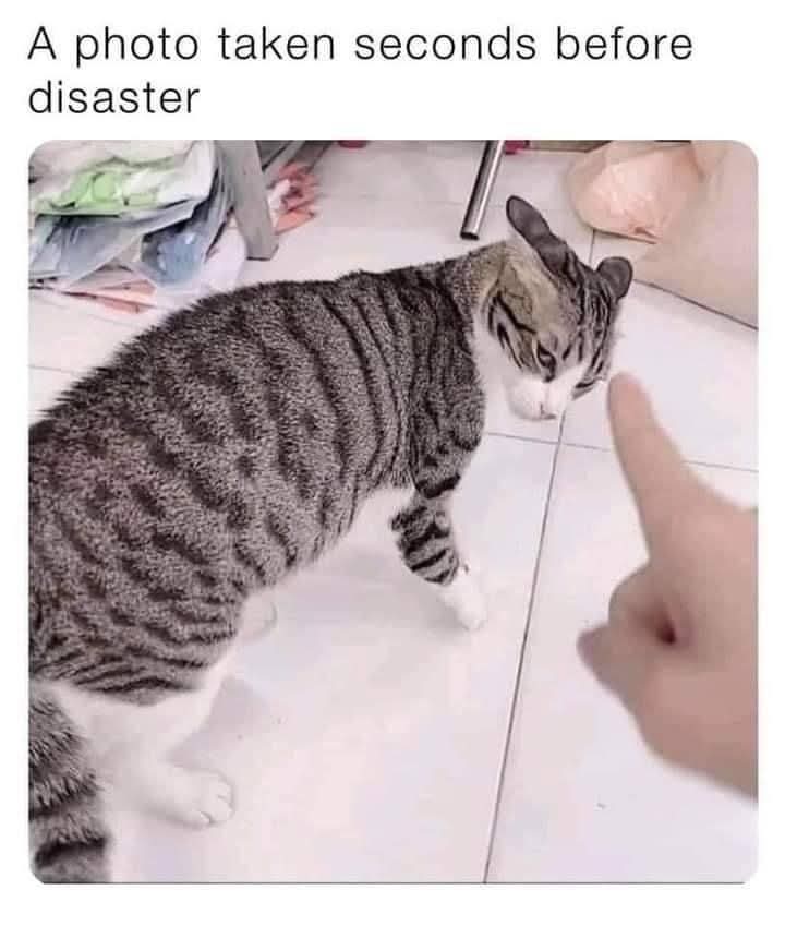 disaster - katastrofa, klęska, porażka