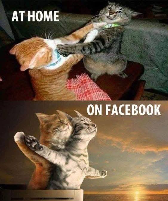 home - do domu, w domu