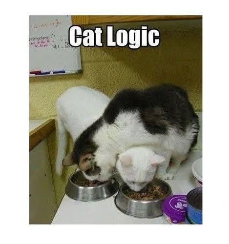 logic - logika, rozumowanie, logiczność