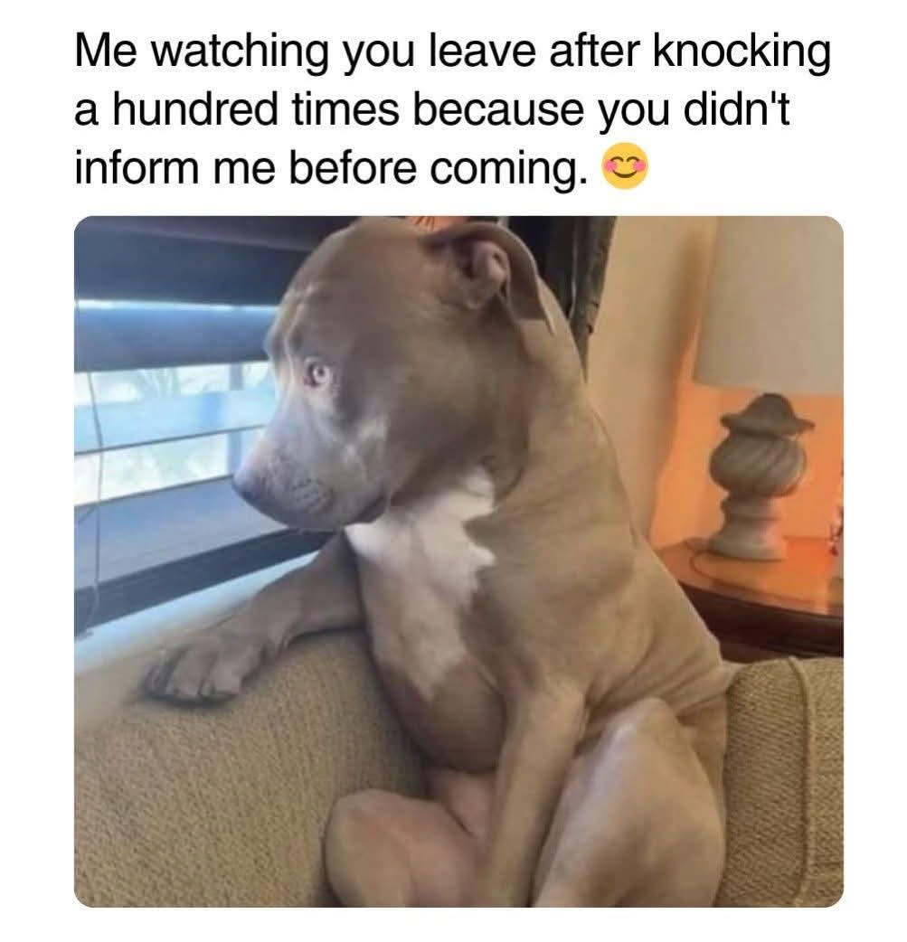 watching - obserwowanie, obserwacja, czuwanie