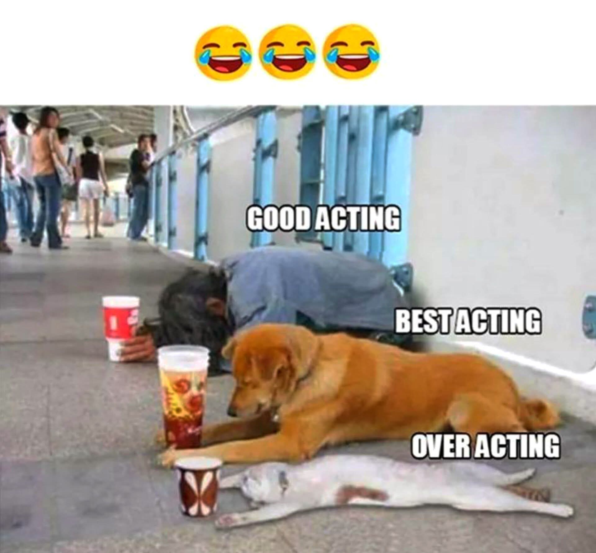 acting - aktorstwo, gra, aktorski