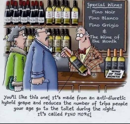 wine - wino, winny, winko