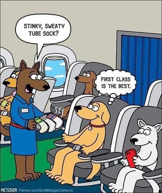 sock - skarpeta, skarpetka, cios