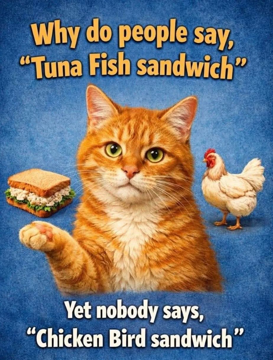 sandwich - kanapka, sandwich, sandwicz