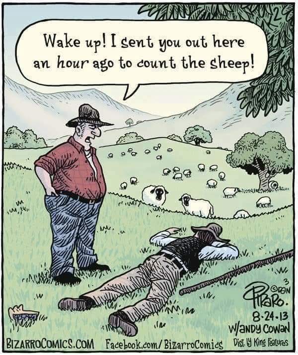 wake up