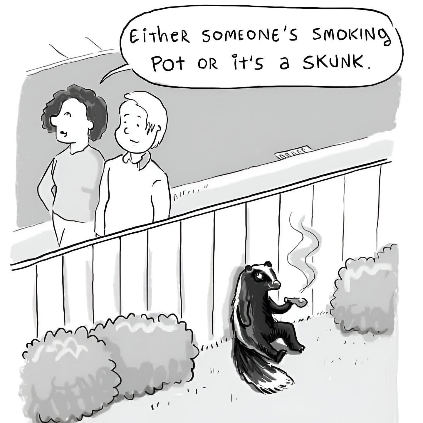 skunk - skunks, kanalia