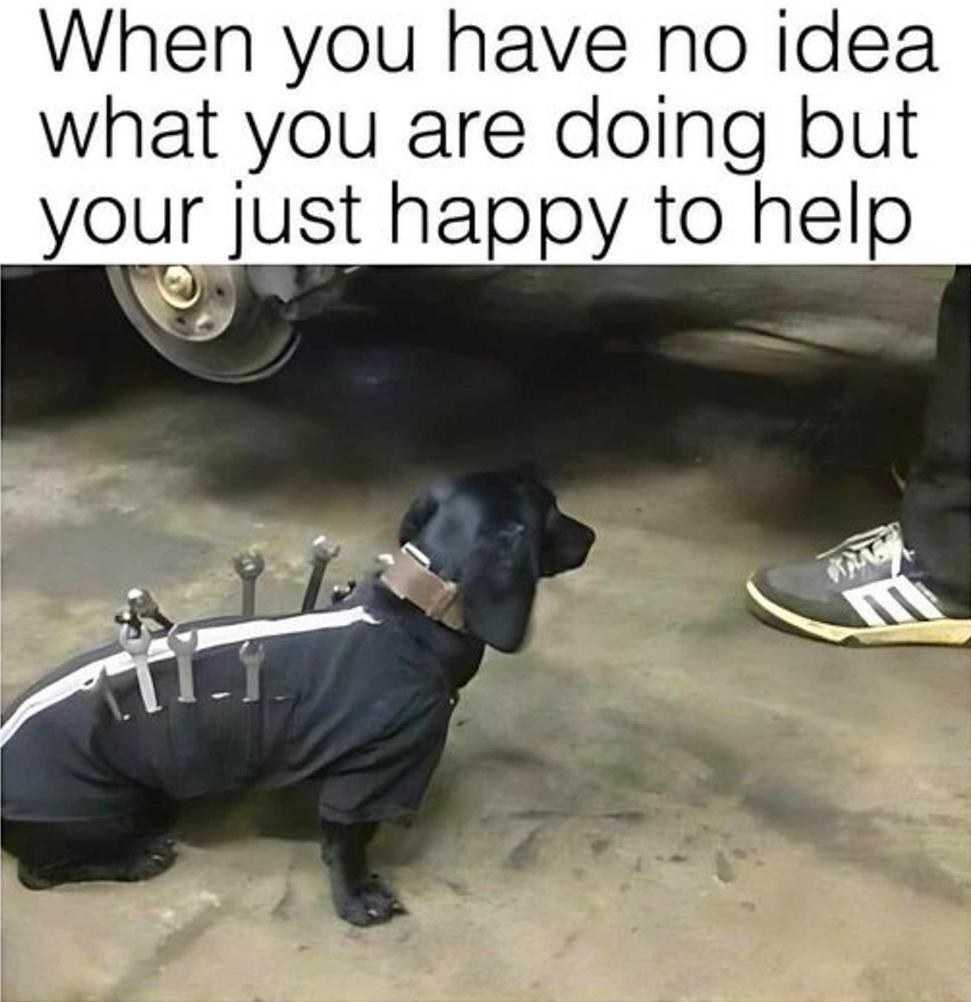 idea